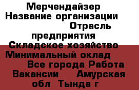 Мерчендайзер › Название организации ­ Team PRO 24 › Отрасль предприятия ­ Складское хозяйство › Минимальный оклад ­ 25 000 - Все города Работа » Вакансии   . Амурская обл.,Тында г.